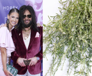 Rzeżuchy które wyglądają jak Krzysztof Rutkowski i jego legendarne fryzury