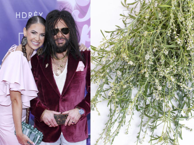 Rzeżuchy które wyglądają jak Krzysztof Rutkowski i jego legendarne fryzury