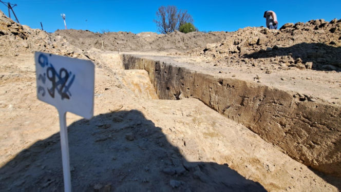 Znaleziska archeologiczne we Wschowie