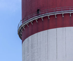 Kolejne sokole pisklęta wykluły się w Elektrowni Bełchatów. Maluchy zostały już zaobrączkowane