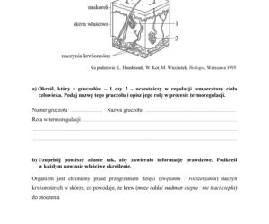 Matura 2018 z biologii. Poziom podstawowy - arkusze CKE