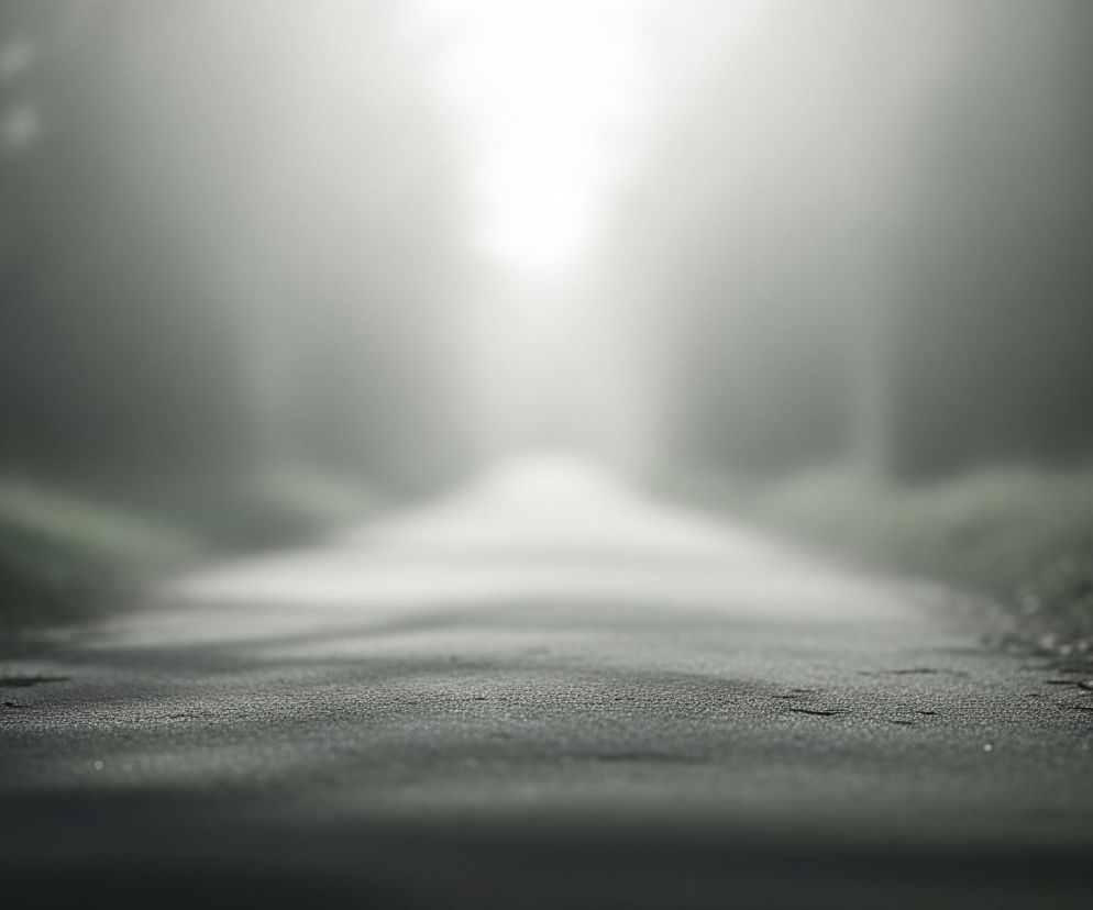 Asfaltowa droga, pokryta drobnymi kamyczkami, biegnie prosto w głąb obrazu, gdzie jasne, rozmyte światło tworzy poświatę. Po obu stronach drogi rozciąga się soczyście zielona trawa, gęściej widoczna na pierwszym planie po prawej stronie, na której widać drobne kropelki wody odbijające światło. Całość otacza delikatna mgła, zamazując tło i nadając scenie eteryczny wygląd.