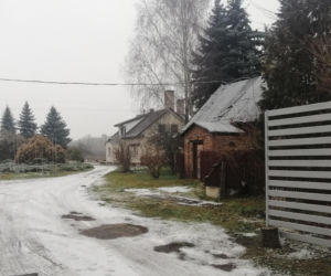 Znaleźli ją nieprzytomną i całą pociętą. Zrobił jej to własny syn? 