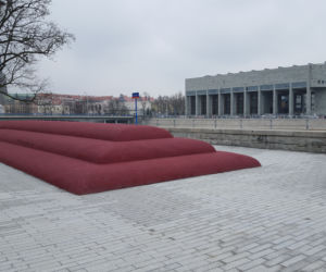 Pufa miejska nad Odrą