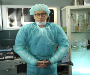 W serialu grali m.in. Anna Przybylska, Katarzyna Cichopek, Joanna Koroniewska, Krzysztof Kowalewski, Hanna Śleszyńska, Paweł Wawrzecki i Piotr Gąsowski.