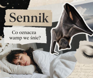 Wamp we śnie: znaczenie snu i najczęstsze interpretacje