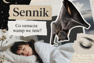 Wamp we śnie: znaczenie snu i najczęstsze interpretacje