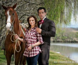 Nieposkromiona miłość (Amor bravio). Daniel /Andres (Cristián de la Fuente), Camila (Silvia Navarro)