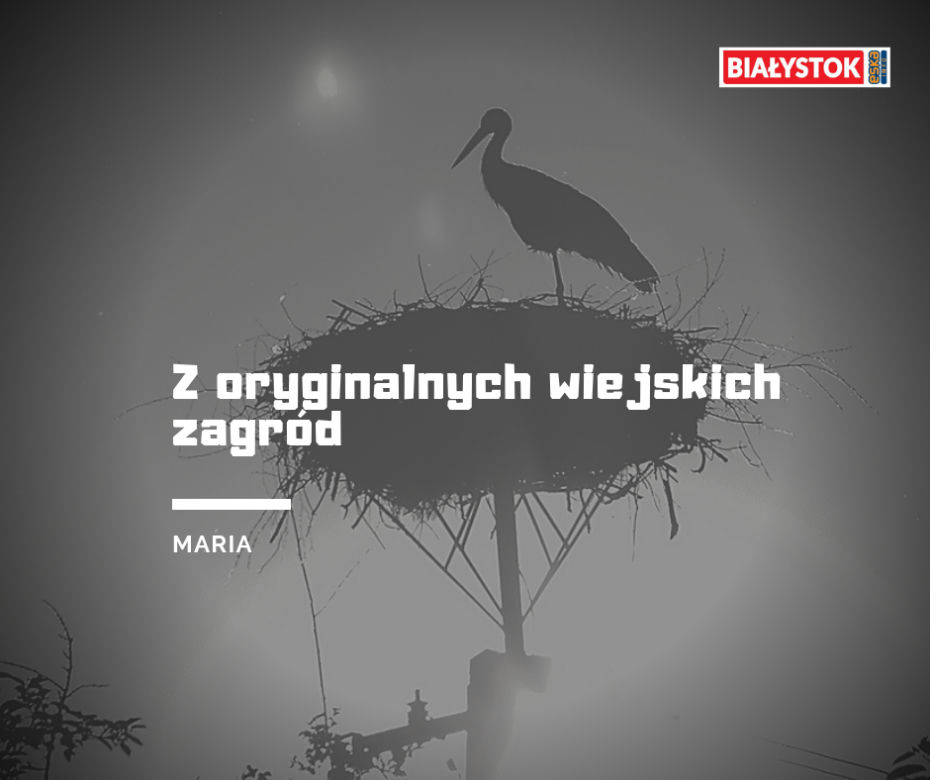 Z czego słynie woj. podlaskie? Odpowiedzi Internautów