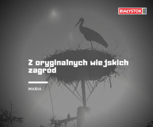 Z czego słynie woj. podlaskie? Odpowiedzi Internautów