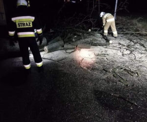 Drzewa na samochodach, zerwane dachy, brak prądu. Skutki wichury w Toruniu i okolicach