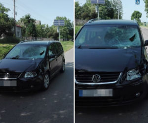 Pijany kierowca zabił 14-latkę! Makabryczny wypadek w Miączynie Kolonii