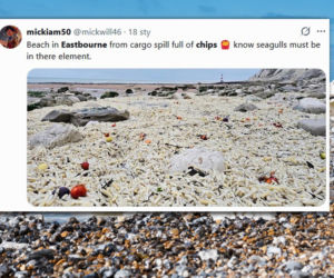 Szok na plaży! Zamiast piasku tony frytek i cebuli! Nagle wypłynęły z wody