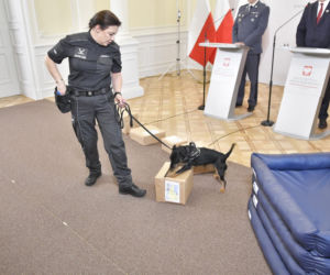 Służby więzienne z psami