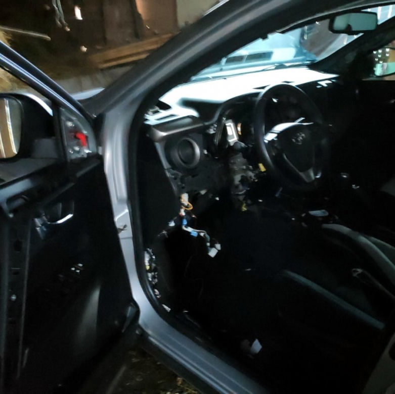 Nalot na dziuplę. Policjanci odzyskali auto za 100 tysięcy
