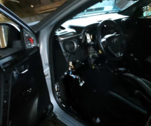 Nalot na dziuplę. Policjanci odzyskali auto za 100 tysięcy