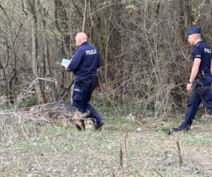 Wielkanocna awantura na ogórdkach działkowych. W ruch poszedł nóż