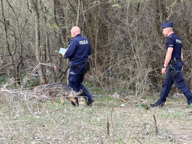 Wielkanocna awantura na ogórdkach działkowych. W ruch poszedł nóż