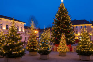 Nowy Sącz świątecznie. Jak miasto przygotowuje się do Bożego Narodzenia?