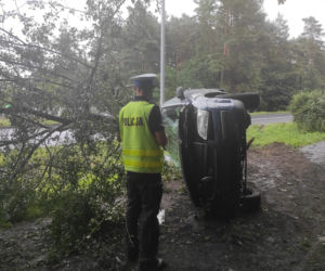 Toruń: Ford Mondeo wylądował na drzewie. Kierowca miał mnóstwo szczęścia