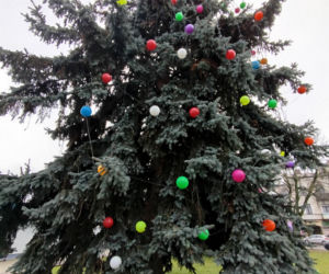 Choinka miejska Siedlce