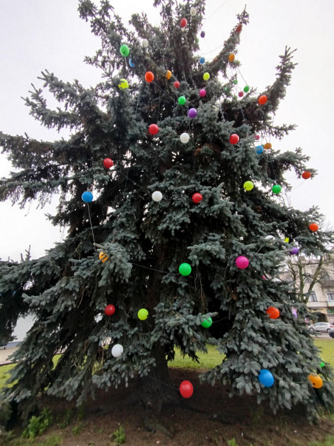 Choinka miejska Siedlce