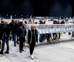 Katowice stolicą gołębiarstwa. Za nami 17. edycja EXPOGołębie. To największa tego typu impreza w Europie