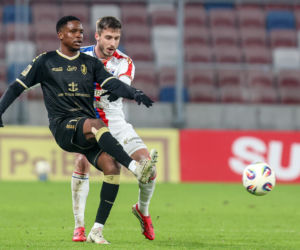 Górnik Zabrze - Pogoń Szczecin: Zdjęcia kibiców z meczu 22. kolejki PKO BP Ekstraklasy