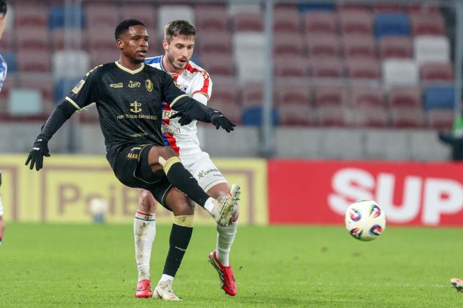 Górnik Zabrze - Pogoń Szczecin: Zdjęcia kibiców z meczu 22. kolejki PKO BP Ekstraklasy