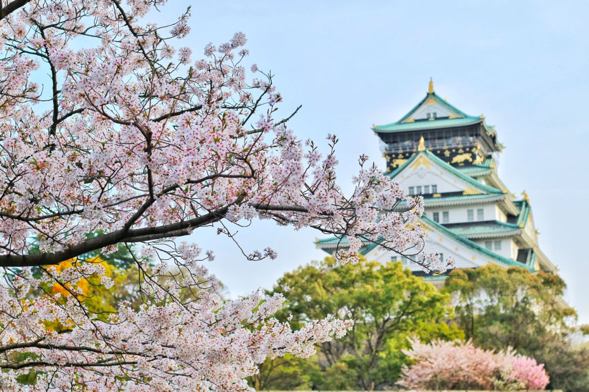 Japonia stolicą długowieczności