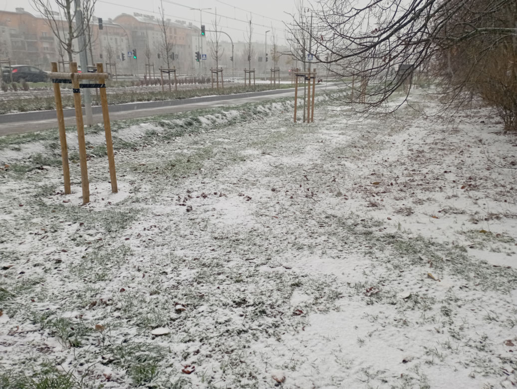 Zima w Poznaniu. Pierwszy śnieg spadł w Wielkopolsce