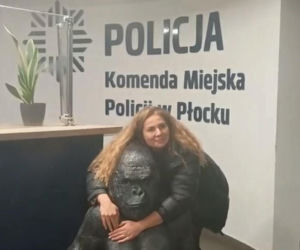 Skradziony goryl przejechał 50 km w bagażniku! Płocka policja odzyskała niezwykłą zdobycz