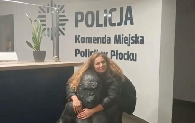 Skradziony goryl przejechał 50 km w bagażniku! Płocka policja odzyskała niezwykłą "zdobycz"