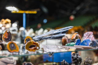 Bestia sprzed 50 milionów lat w Krakowie! Zobaczysz ją tylko w ten weekend