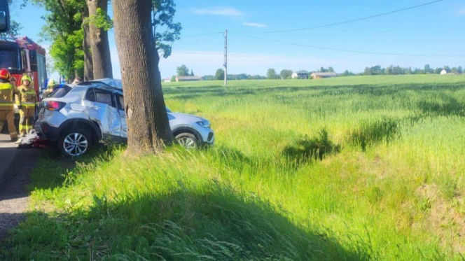 Dramat na drodze pod Lipnem. Chwilę później 67-latek już nie żył!