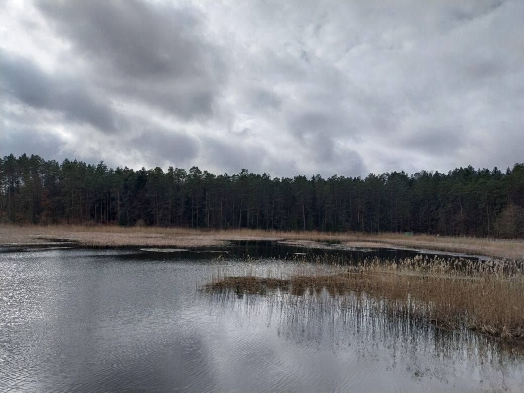 Stawy Echo. Roztoczański Park Narodowy