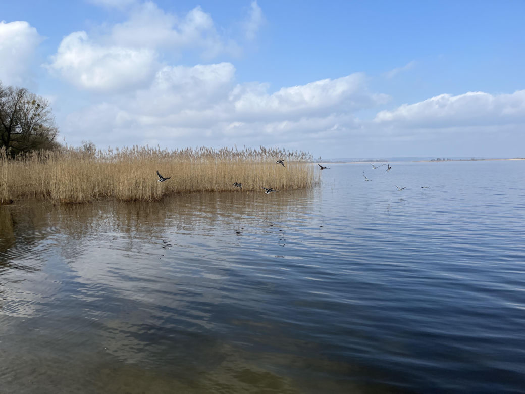Kąpielisko i Jezioro Dąbie