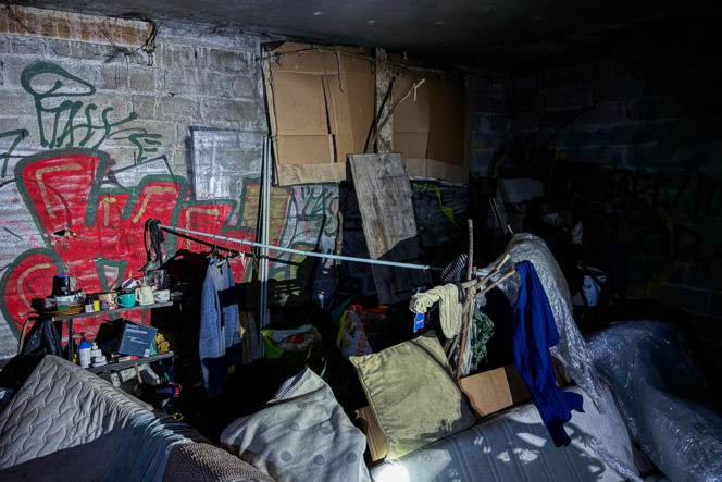 Streetworking przy -18 stopni Celsjusza. Artur i Dorota z organizacji Serca Torunia nie zamierzają się poddać