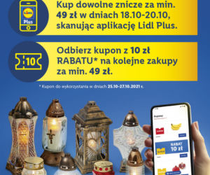 Kwiaty i znicze w Lidlu