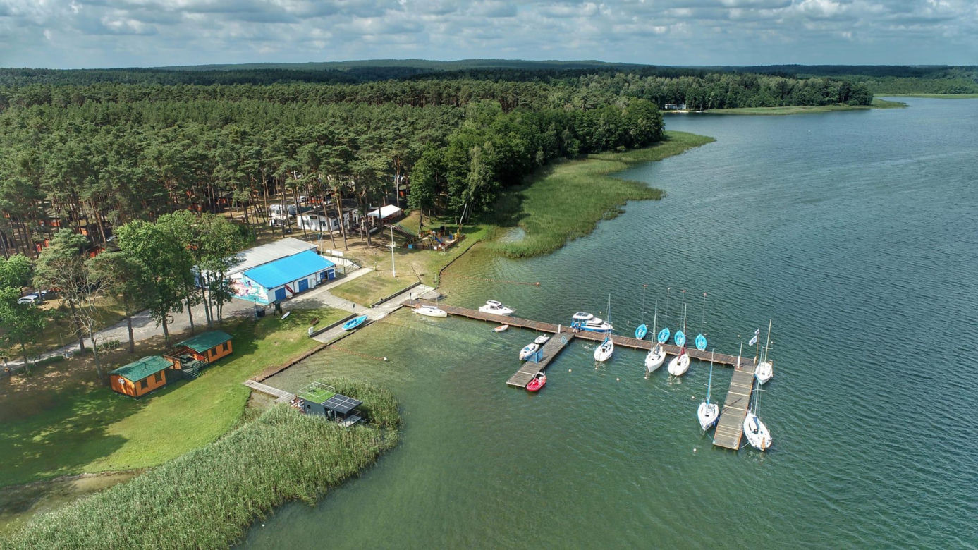 Kormoran nad jeziorem Niesłysz w Lubuskiem zaprasza turystów. Zobacz na te przepiękne zdjęcia 