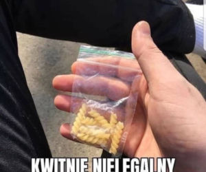 Puste półki w sklepach. MEMY - Polacy szturmują sklepy