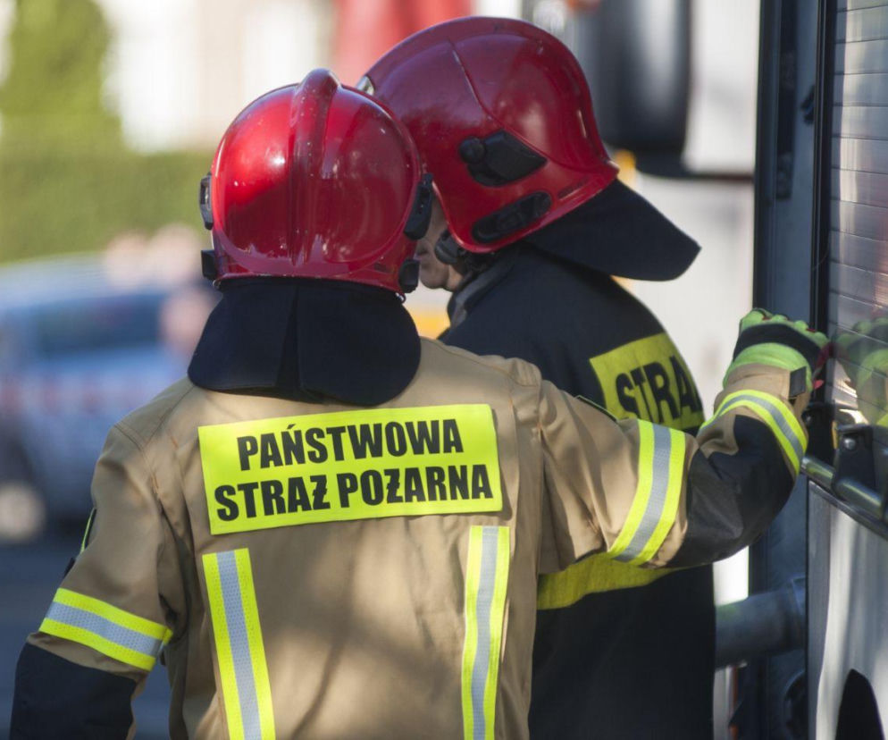 Ewakuacja na Uniwersytecie Warszawskim. Służby zabezpieczyły tajemniczy pojemnik