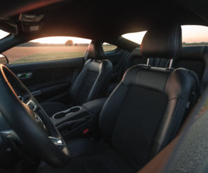 Ford Mustang GT 5.0 V8 55 Edition