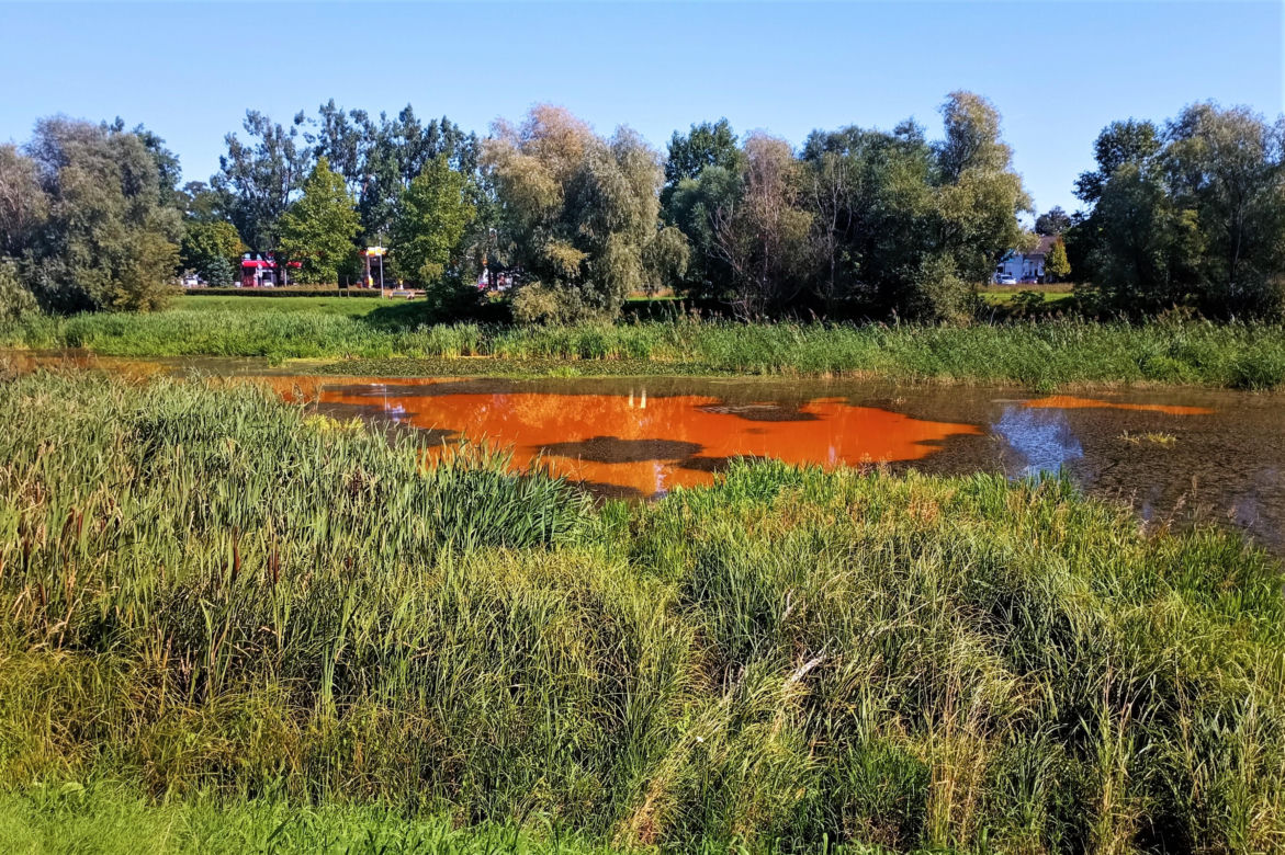 Zanieczyszczone Jezioro Słoneczne
