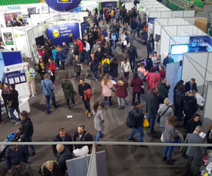 Targi Pracy Offerty 2019 w Bydgoszczy