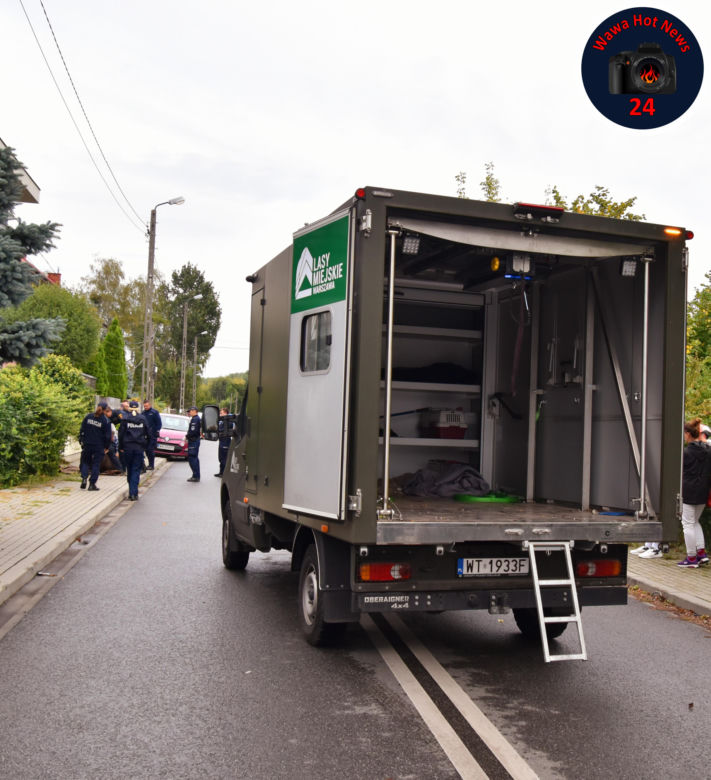 Pościg za Łosiem w Warszawie. Wielki zwierz wymykał się obławie