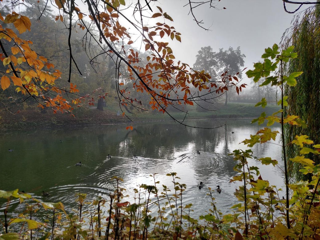 Zamojski Park jesienią