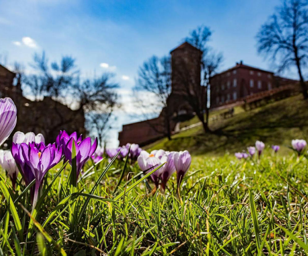 Zdjęcie dnia