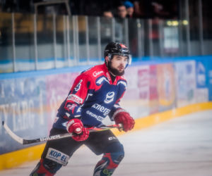 Tauron Podhale Nowy Targ – KH Energa Toruń 5:2, zdjęcia z Nowego Targu