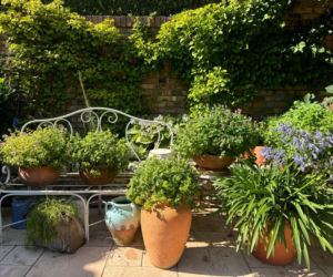 Ogrody Kapias w Goczałkowicach